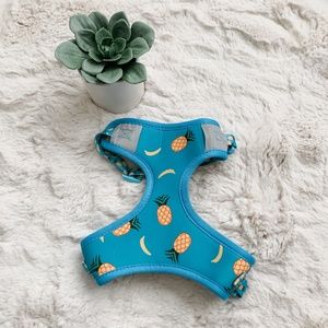 Blue Pineapple & Bananas Dog Harness- Size Small